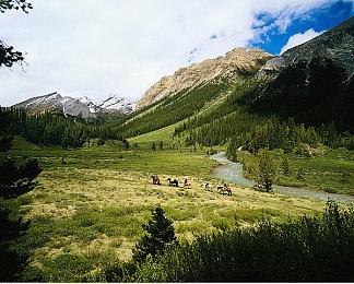 守望先锋归来生命之梭技能介绍，守望先锋2生命编织者技能连招怎么用？